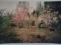 Działka rekreacyjna Gliszcz. Zdjęcie 1