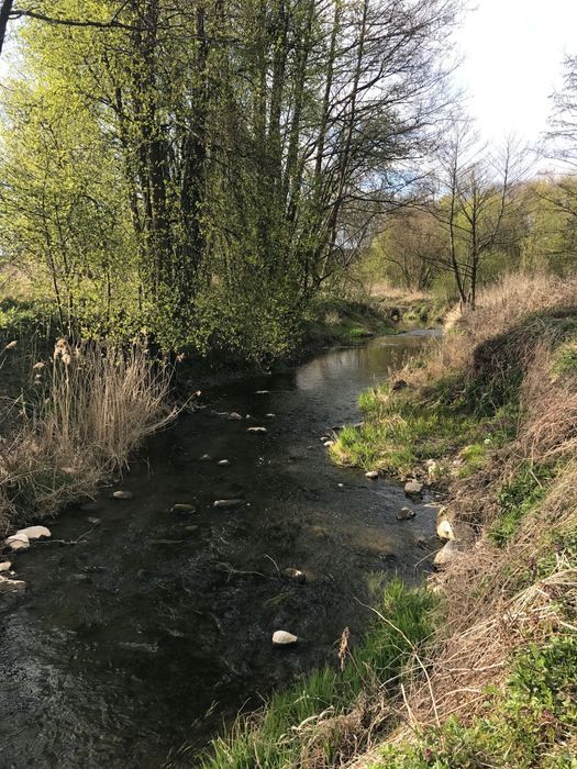 bliźniak Gęsie Góry Kudwiny. Zdjęcie 4