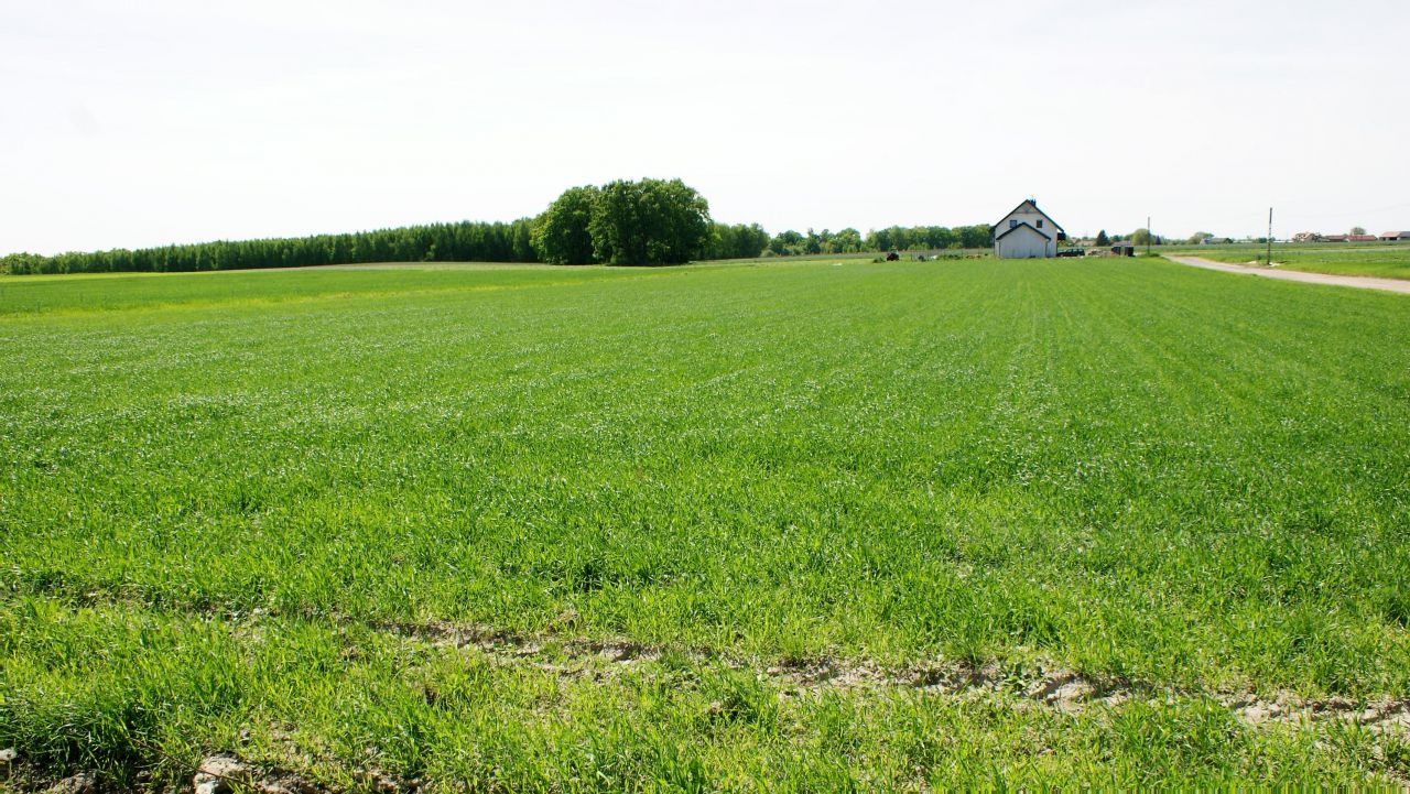 Działka budowlana Wygoda Smoszewska. Zdjęcie 3