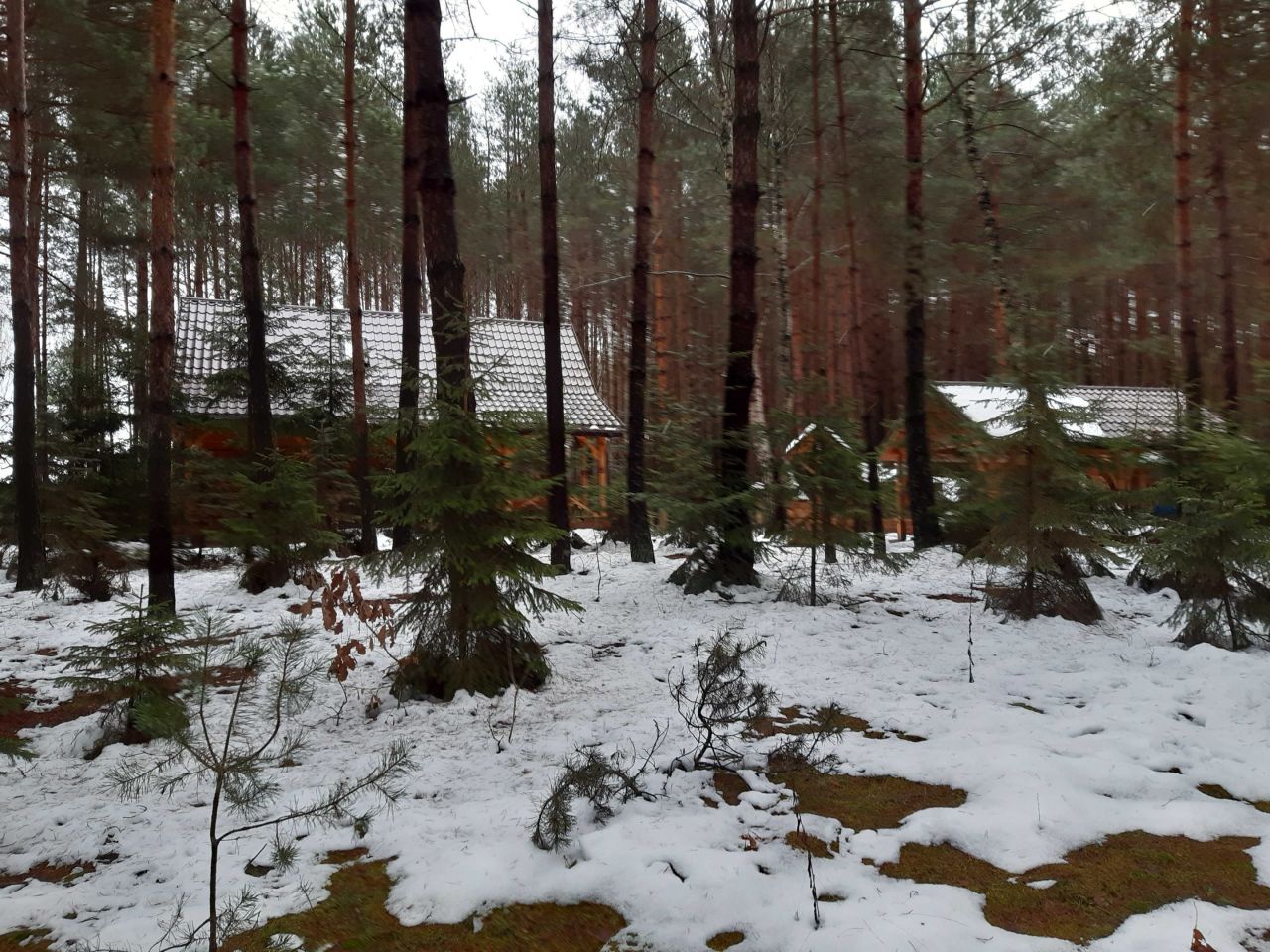 Działka budowlana Górecko Kościelne. Zdjęcie 5