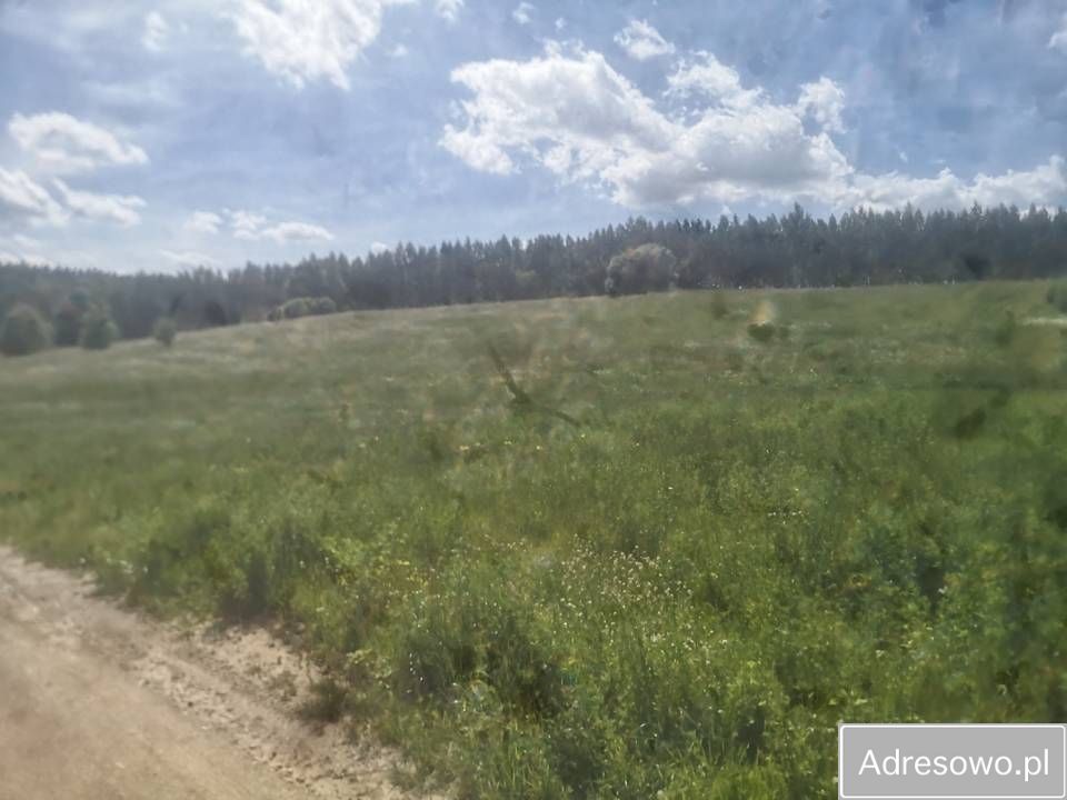 Działka rolna Piłaki Wielkie. Zdjęcie 8