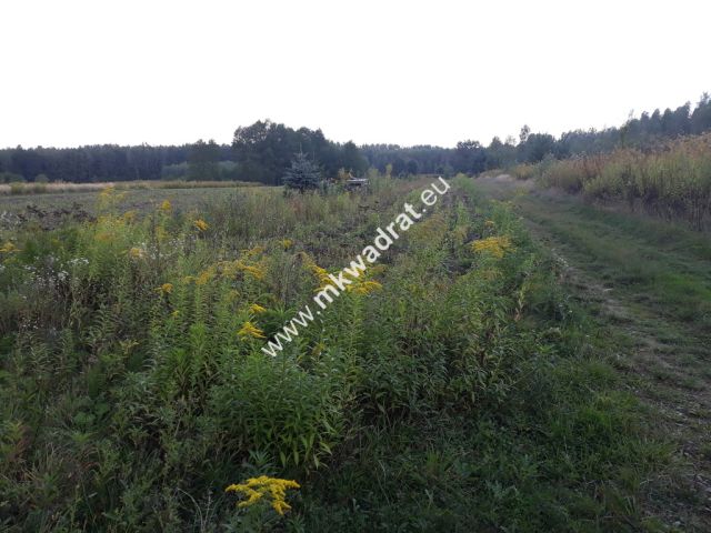 Działka budowlana Pęcice. Zdjęcie 1