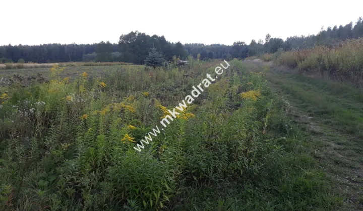 Działka budowlana Pęcice