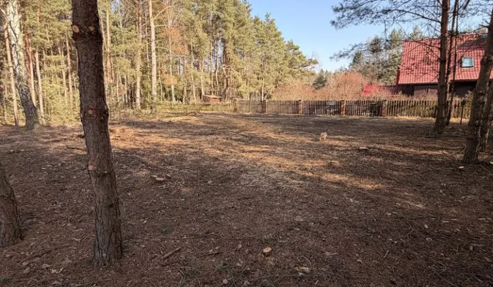 Działka leśna Zambski Kościelne