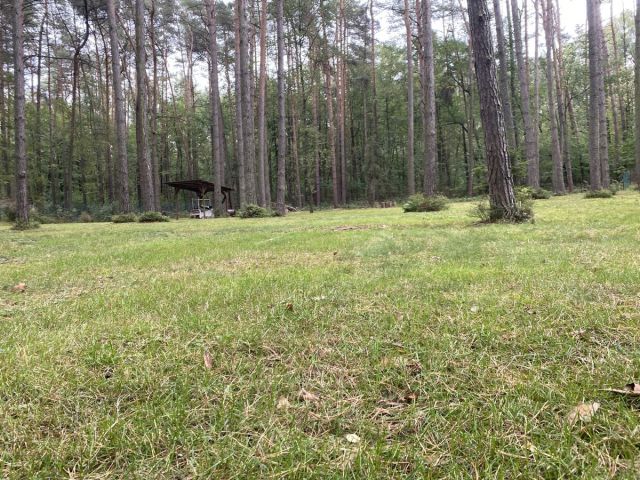Działka budowlana Czyżemin. Zdjęcie 6