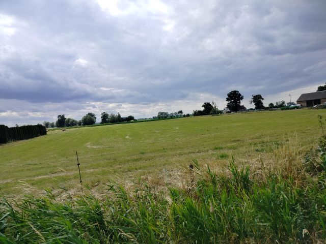 Działka rolna Głuchowo-Kolonia. Zdjęcie 1