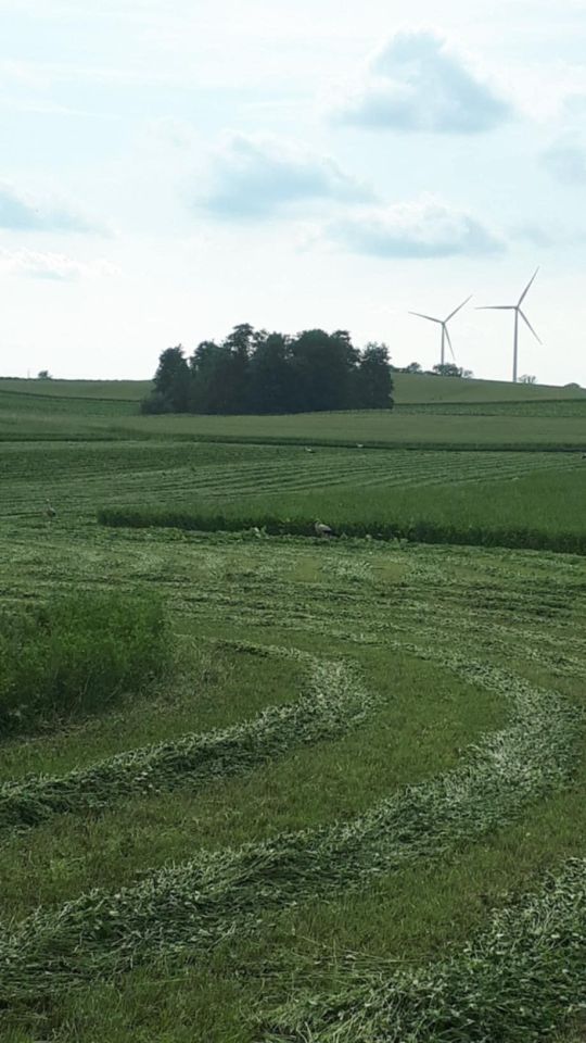 Działka rolna Radzyń-Wybudowanie