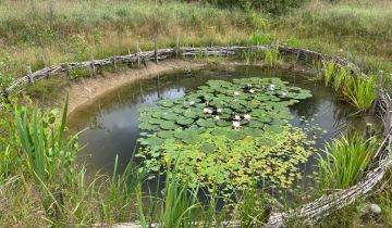 Działka budowlana Połęczyno