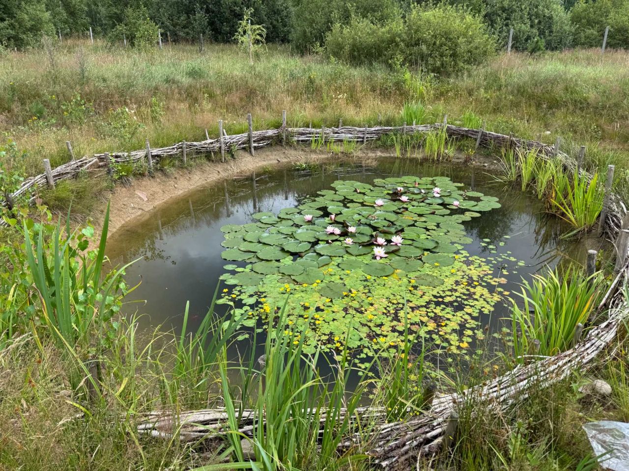 Działka budowlana Połęczyno. Zdjęcie 2