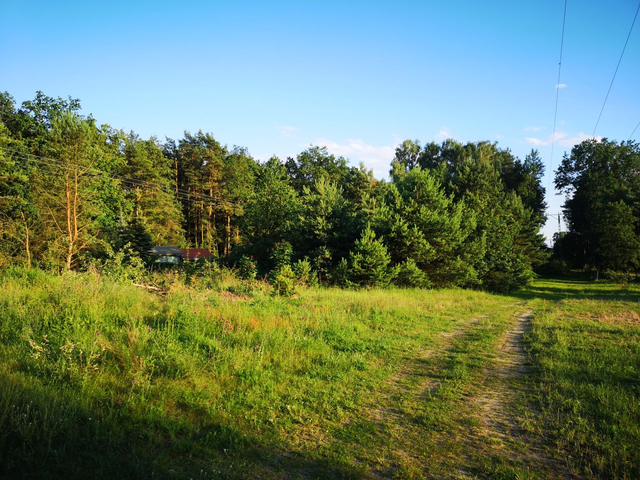 Działka rekreacyjna Wylazłów. Zdjęcie 5