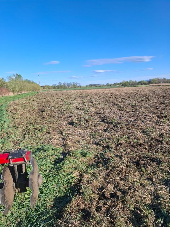 Działka rolna Stanowice. Zdjęcie 2