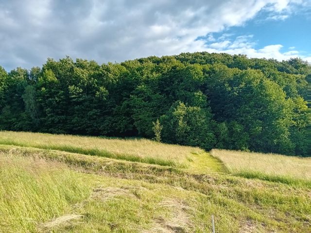 Działka budowlana Dobranowice. Zdjęcie 4