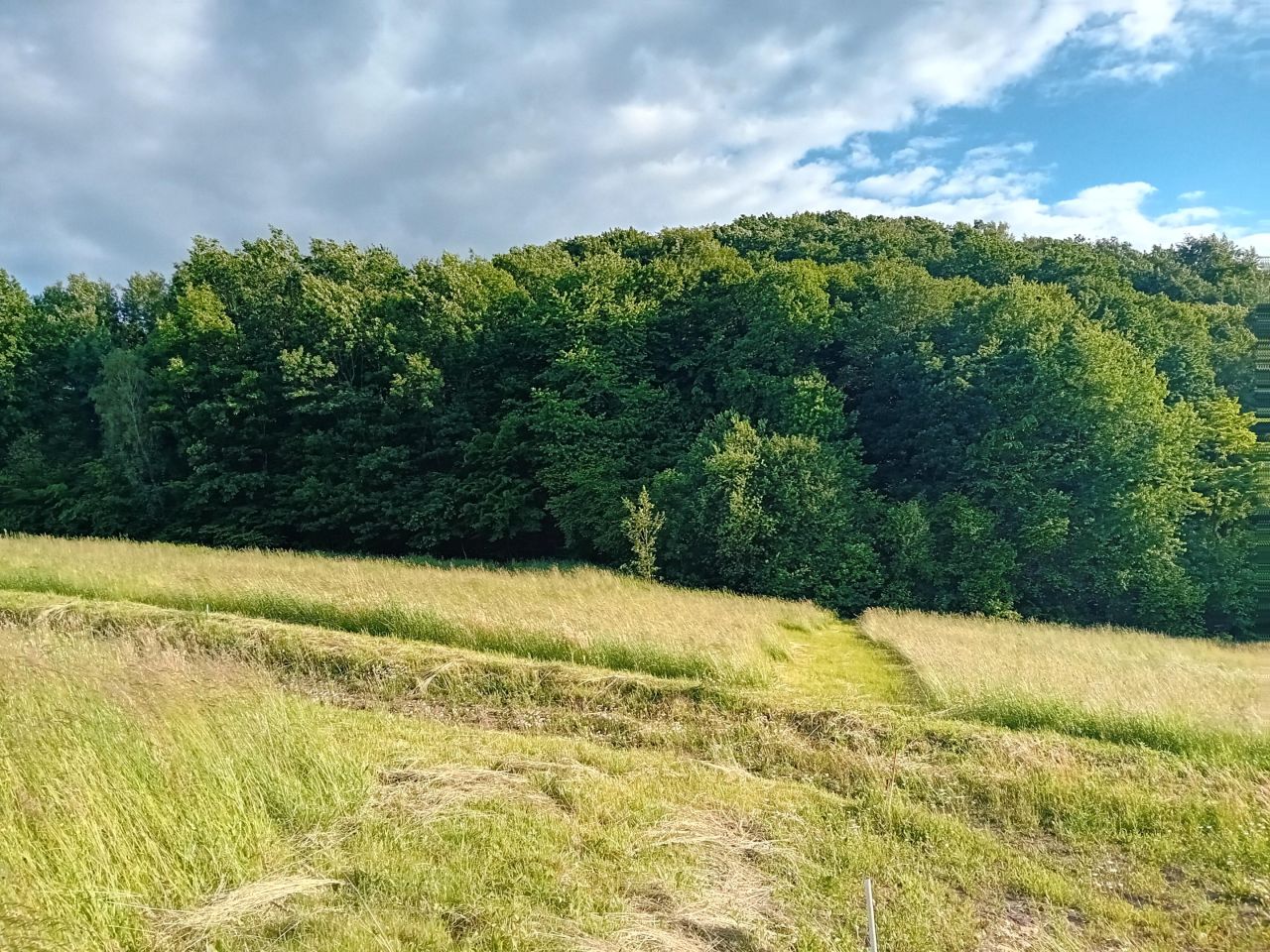 Działka budowlana Dobranowice. Zdjęcie 4