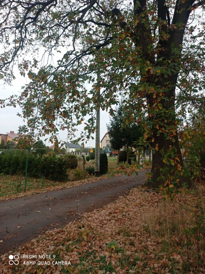 Działka rolna Studzionki. Zdjęcie 4