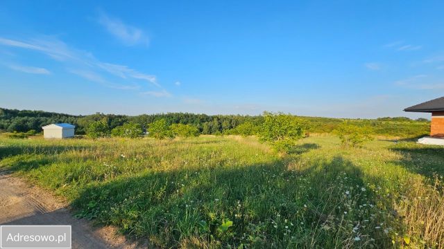 Działka budowlana Rogoźnik, ul. Orzechowa. Zdjęcie 1