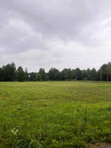 Działka budowlana Białka. Zdjęcie 6