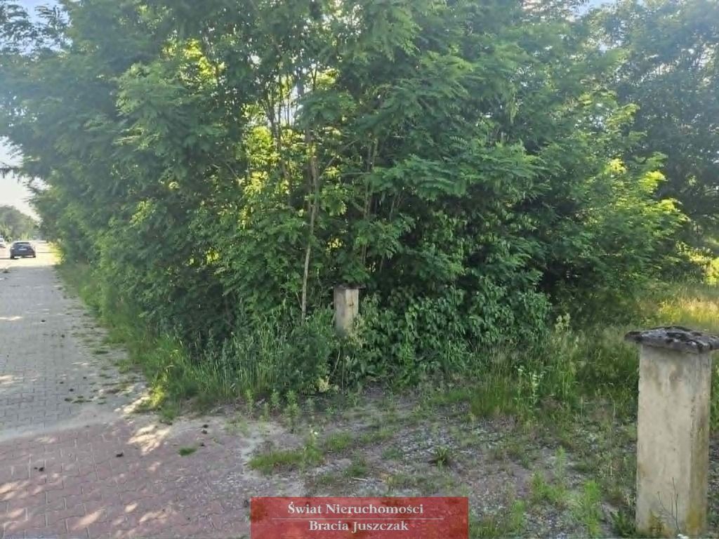 Działka budowlana Sosnówka. Zdjęcie 9