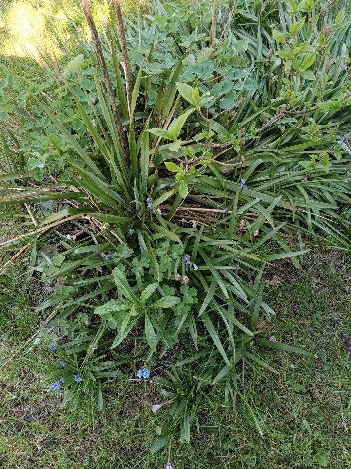 Działka rod Gdynia Chwarzno-Wiczlino. Zdjęcie 6