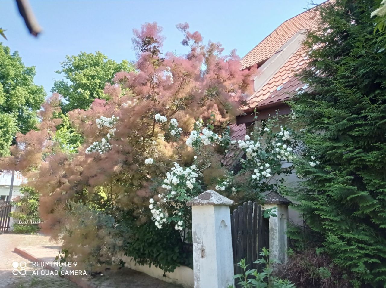 dom wolnostojący, 5 pokoi Bartosze. Zdjęcie 4