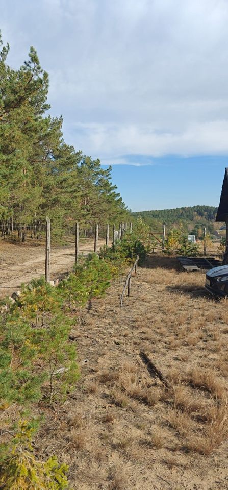 Działka rolno-budowlana Zbrzyca. Zdjęcie 17