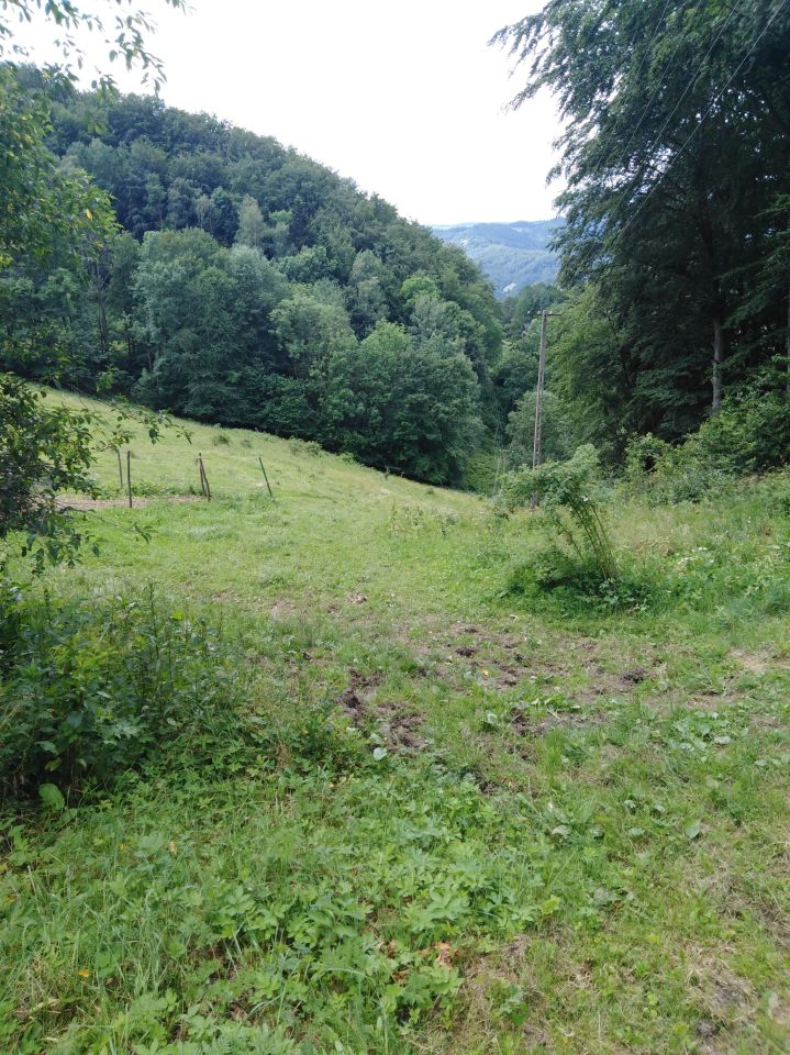 Działka rolna Kokuszka Gronik. Zdjęcie 7