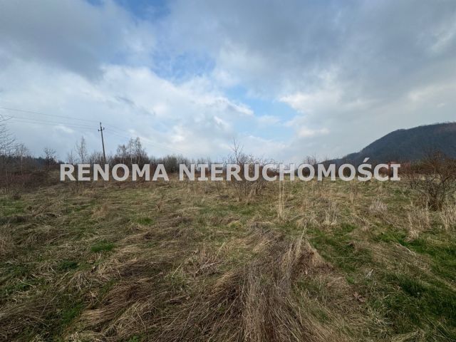 Działka Struga. Zdjęcie 2