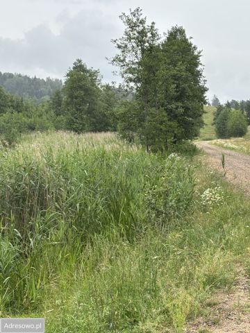 Działka rolno-budowlana Dziadówek. Zdjęcie 1