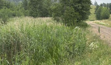 Działka rolno-budowlana Dziadówek