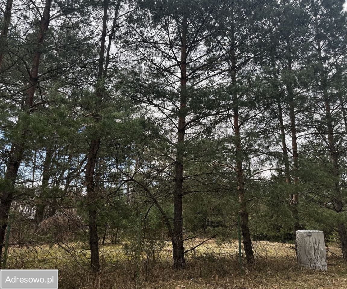 Działka rekreacyjna Wałpusz. Zdjęcie 6