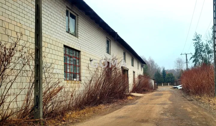 Hala/magazyn Halinów