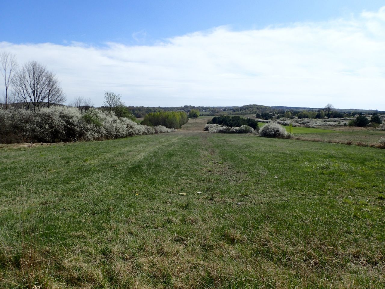Działka rolna Siedlec. Zdjęcie 8