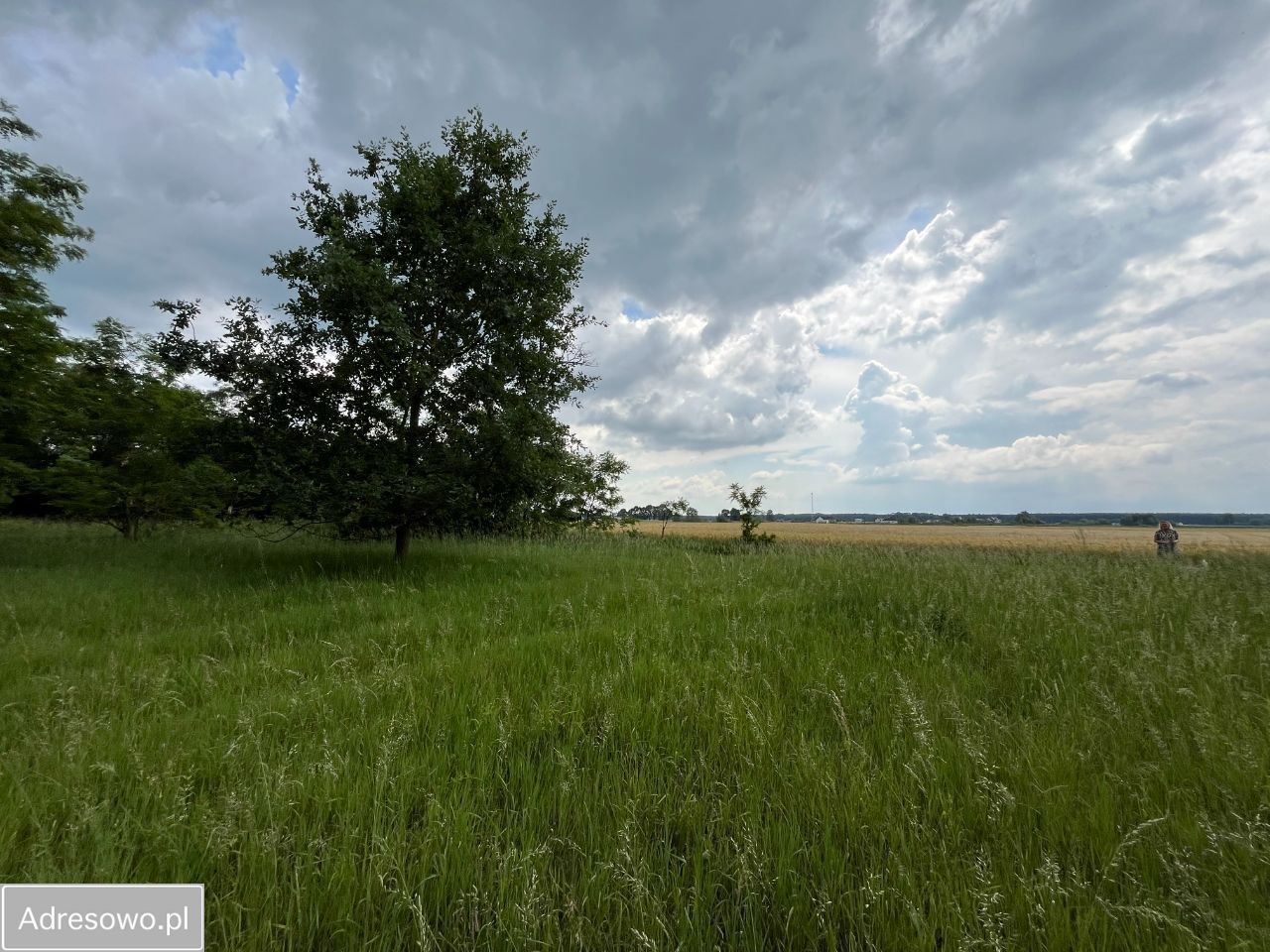 Działka Krosinko. Zdjęcie 9