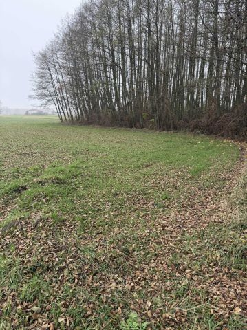 Działka rolno-budowlana Filipinów. Zdjęcie 1