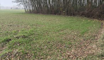 Działka rolno-budowlana Filipinów