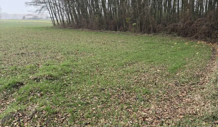 Działka rolno-budowlana Filipinów