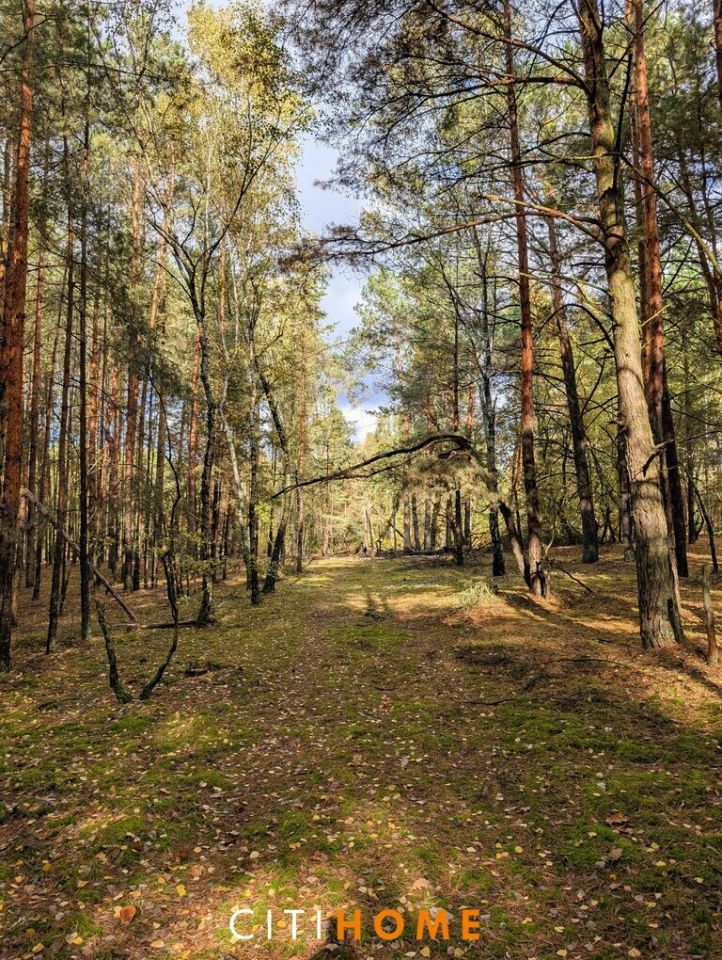 Działka siedliskowa Czarnowiec. Zdjęcie 5