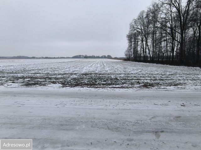 Działka budowlana Malanów. Zdjęcie 1