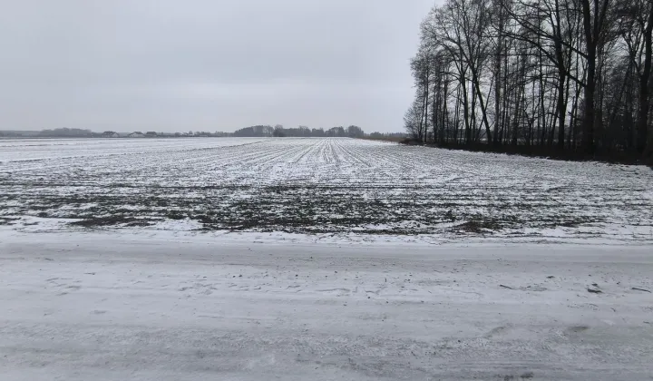 Działka budowlana Malanów