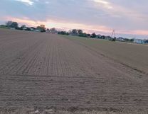 Działka rolno-budowlana Gołąb. Zdjęcie 4