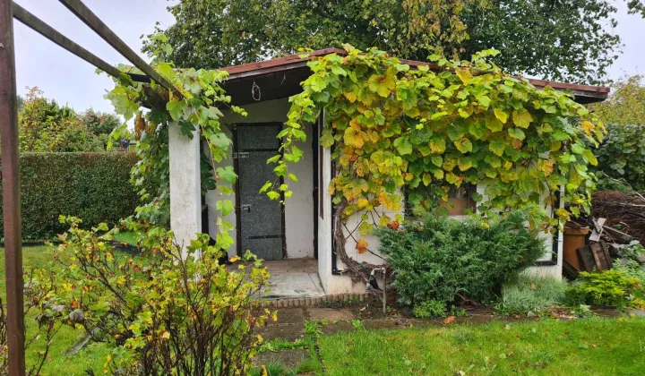 Działka rod Słupsk, ul. Gdańska
