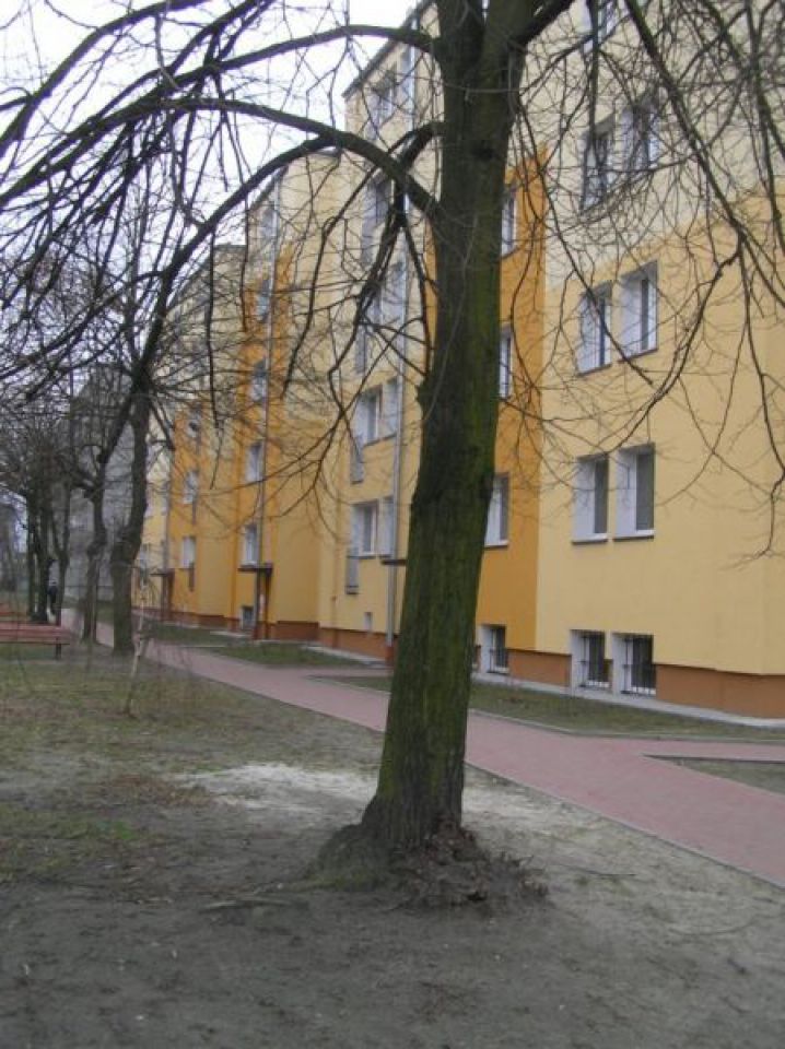 Mieszkanie 2-pokojowe Piotrków Trybunalski