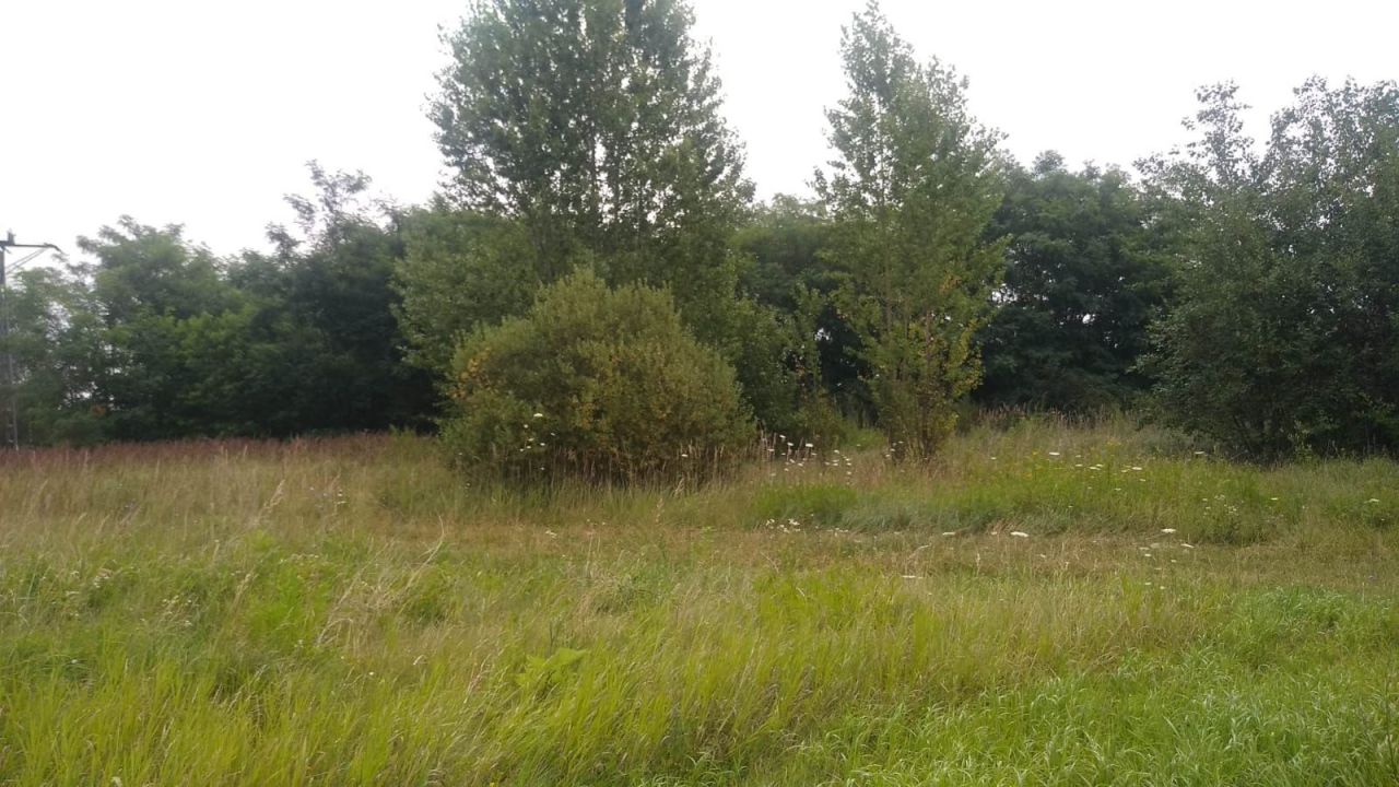 Działka rolna Łódź Łaskowice. Zdjęcie 3