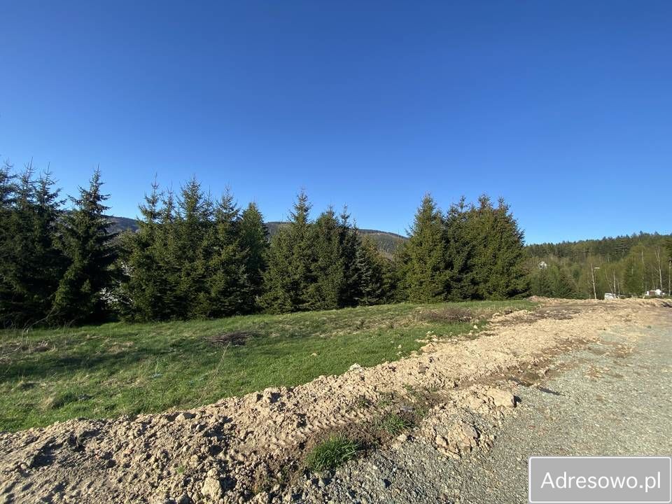 Działka rolno-budowlana Ludwikowice Kłodzkie, ul. Kolonia Jana Kasprowicza. Zdjęcie 3