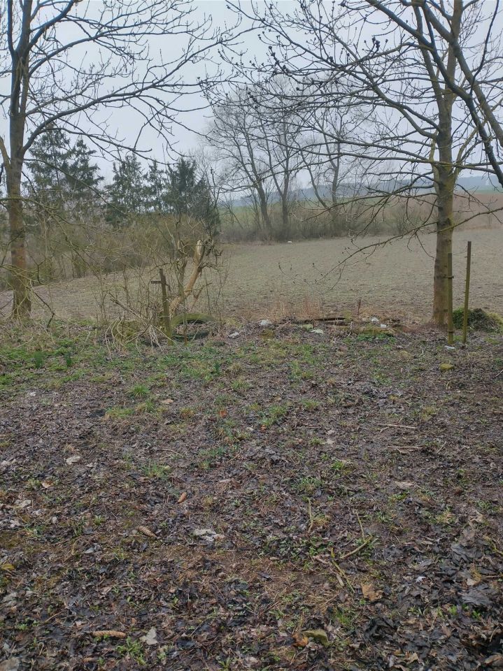 bliźniak Rybowo. Zdjęcie 8