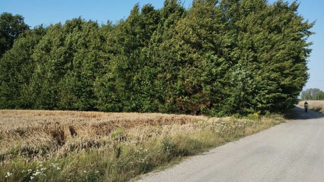 Działka siedliskowa Trębaczów. Zdjęcie 1