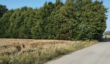 Działka rolno-budowlana Trębaczów