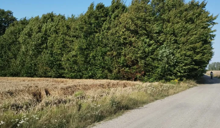 Działka siedliskowa Trębaczów
