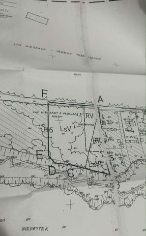 Działka leśna Wincentów. Zdjęcie 1