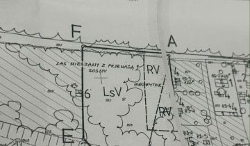 Działka leśna Wincentów