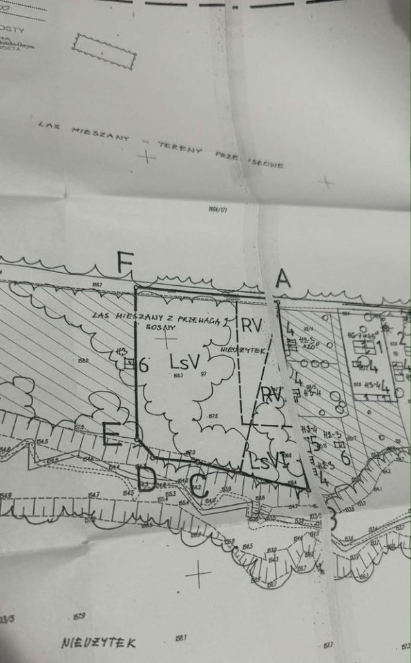 Działka leśna Wincentów